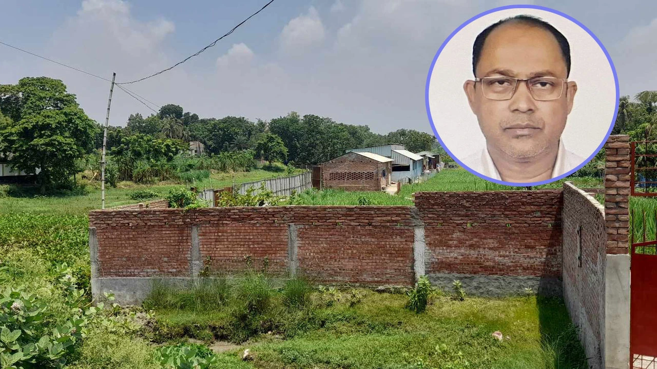 নদী দখল করে আওয়ামী লীগ নেতার গরুর খামার