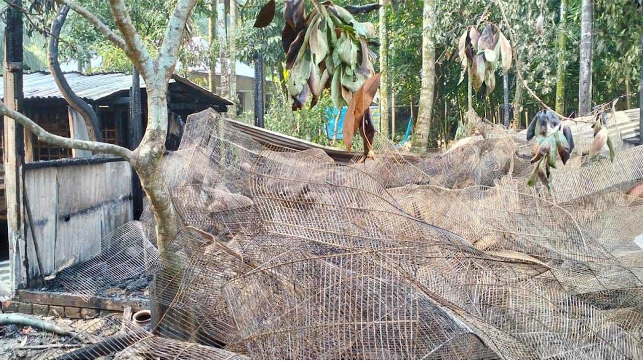 আগুনে পুড়ে ছাই ৪ হাজার পাখি, নিঃস্ব তরুণ উদ্যোক্তা