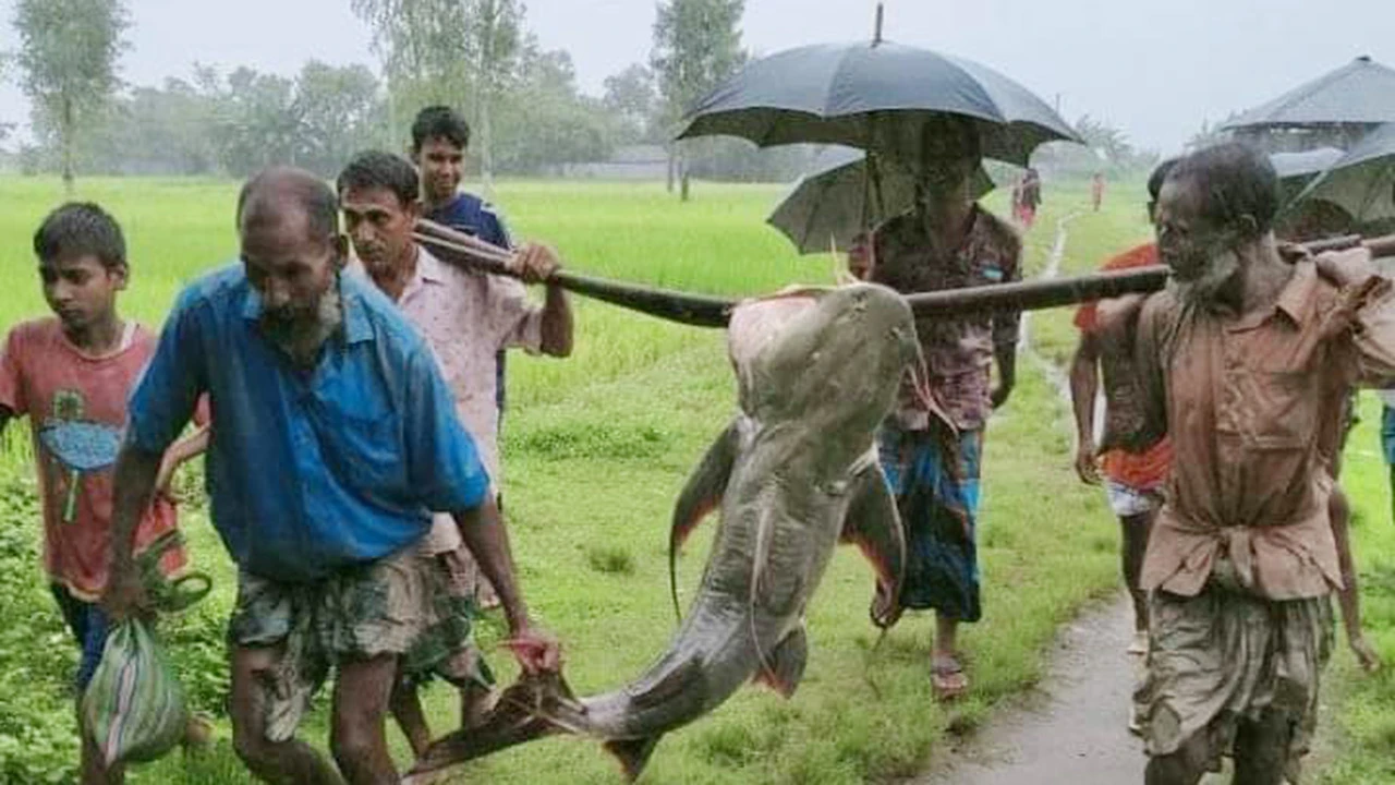 বন্যার ক্ষতির আর দুঃখ থাকল না মতিনের