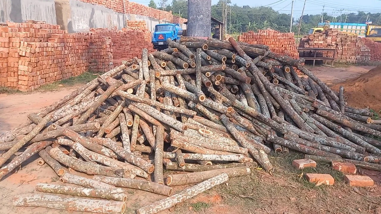 ৬ শিক্ষা প্রতিষ্ঠানের মাঝে ইটভাটা, হুমকিতে শিশু স্বাস্থ্য