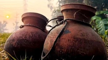 খেজুরের কাঁচা রস পানে বিরত থাকার আহ্বান