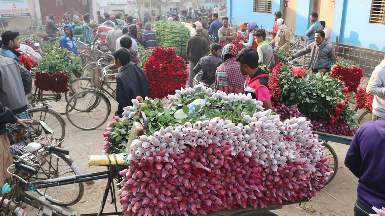 গদখালীতে ৩ কোটি টাকার ফুল বিক্রি