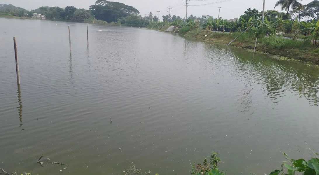 কেশবপুরে আদালতের আদেশ অমান্য করে জমি দখলের চেষ্টা
