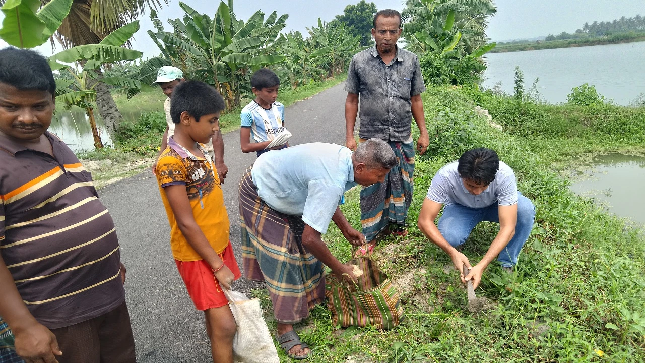যশোরে ১৪ বছর ধরে তালের বীজ রোপণ করছেন চিত্তরঞ্জন