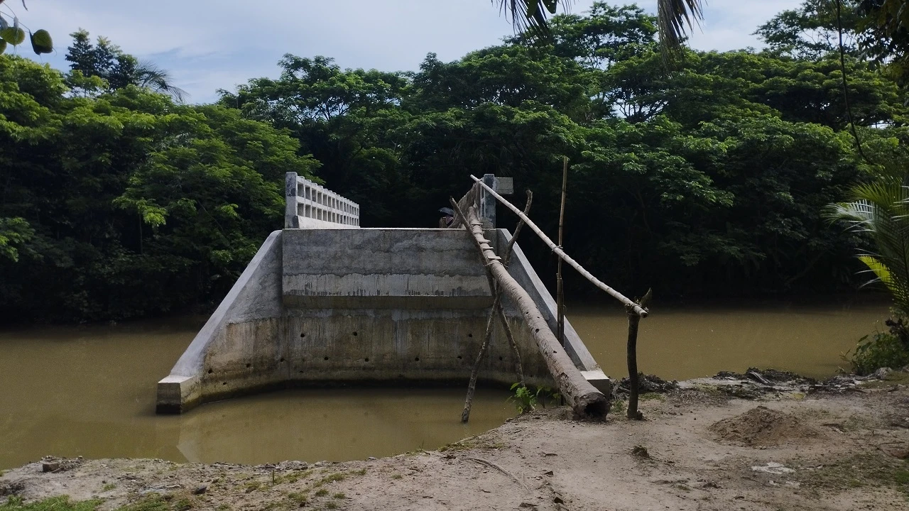 ‘নারিকেল গাছ’ বেয়ে উঠতে হয় ৮৪ লাখ টাকার সেতুতে