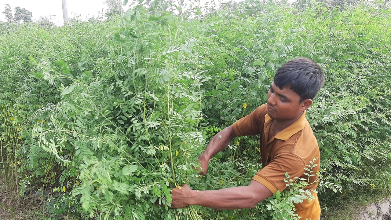 শোষণের নীলে সম্ভাবনার হাতছানি