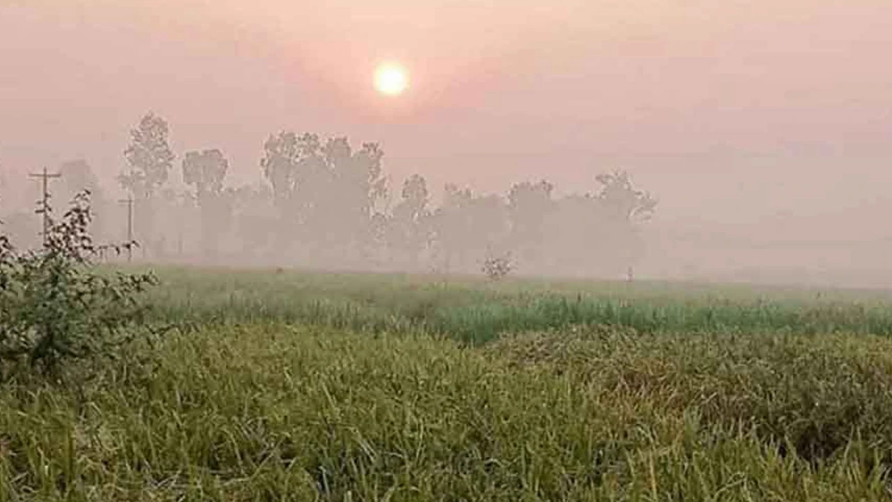 রাতের তাপমাত্রা কমে বাড়বে দিনের
