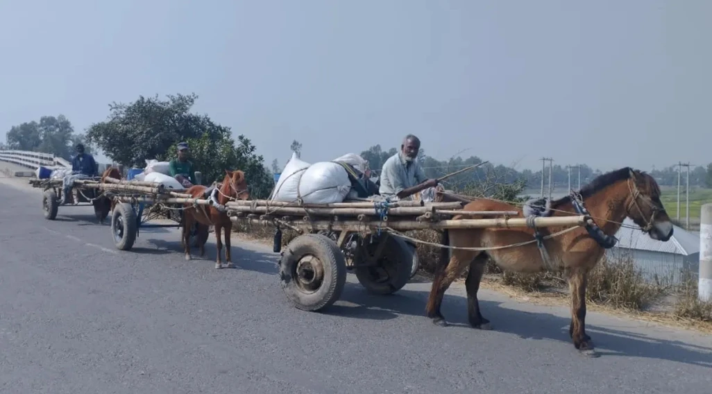 ঘোড়ার গাড়িতে চলে ৩০ পরিবারের জীবিকা