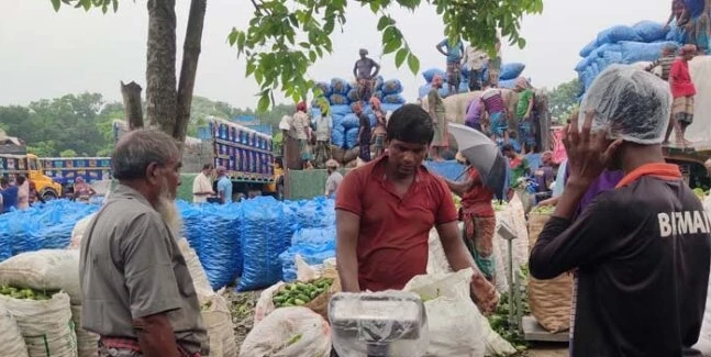 চৌগাছায় পটোলের কেজি ৪ টাকা