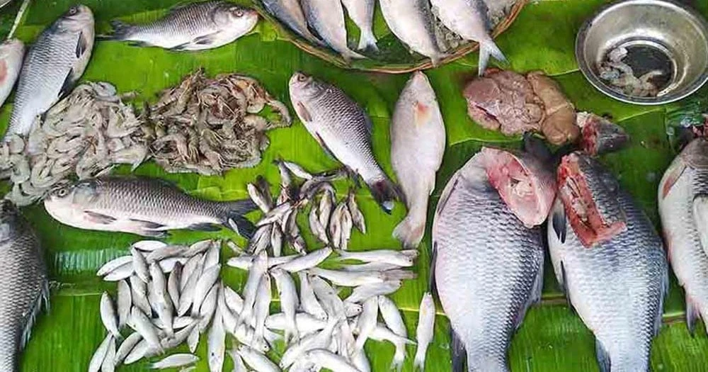 প্রতিদিন মাছ খেলে যেসব সমস্যা হতে পারে