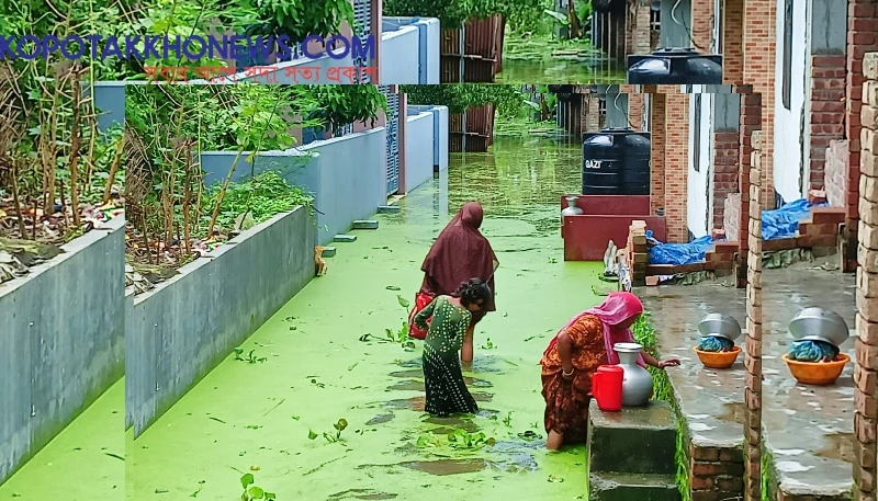 কেশবপুরে মানুষের বাড়িঘরে পানি