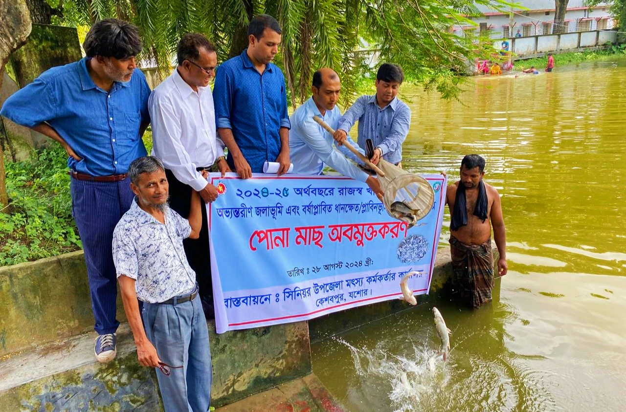 কেশবপুরে বিভিন্ন জলাশয়ে পোনা মাছ অবমুক্ত