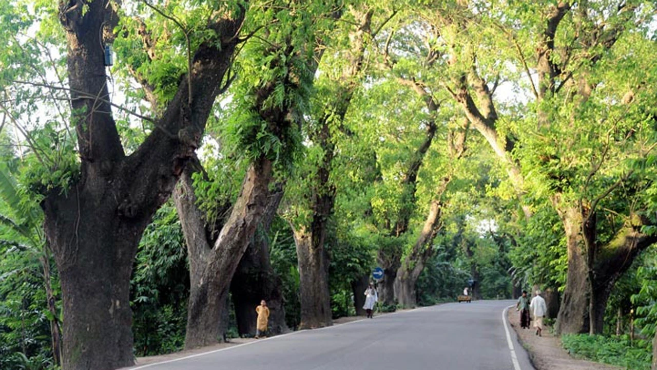 যশোর রোড দ্রুত সম্প্রসারণের দাবি জানালো বিজেপি
